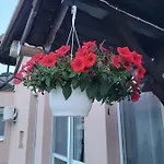 Anda Vendeghaz Guest house Harkany