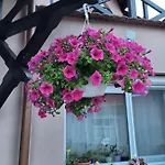Guest house Anda Vendeghaz