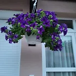 Guest house Anda Vendeghaz 3*