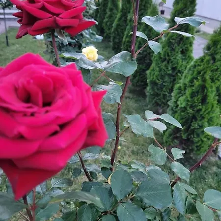 Anda Vendeghaz 3* Harkány