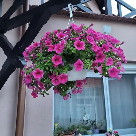 Gæstehus Anda Vendeghaz